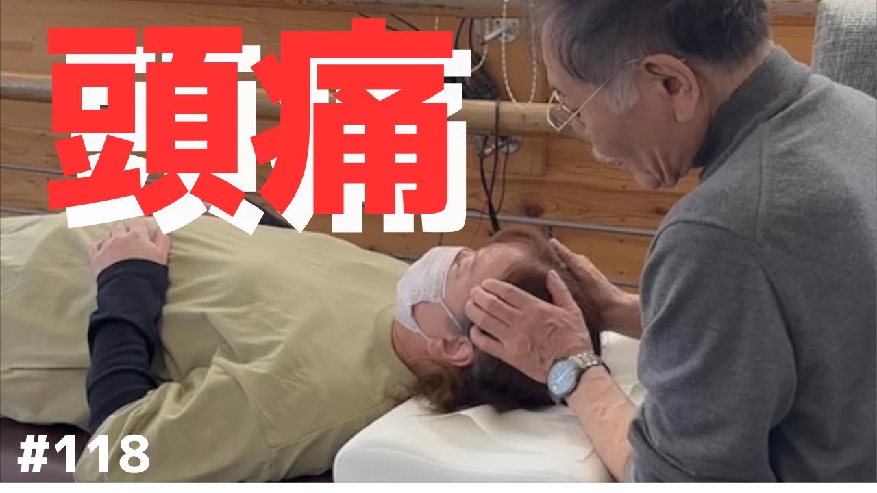 Chiropractic Technique 第三版 カイロ！整体！鍼灸！英語