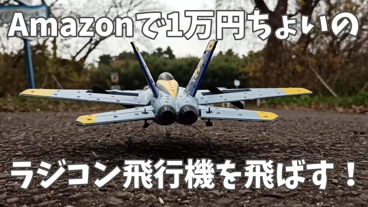 My first attempt at a radio-controlled airplane that can be