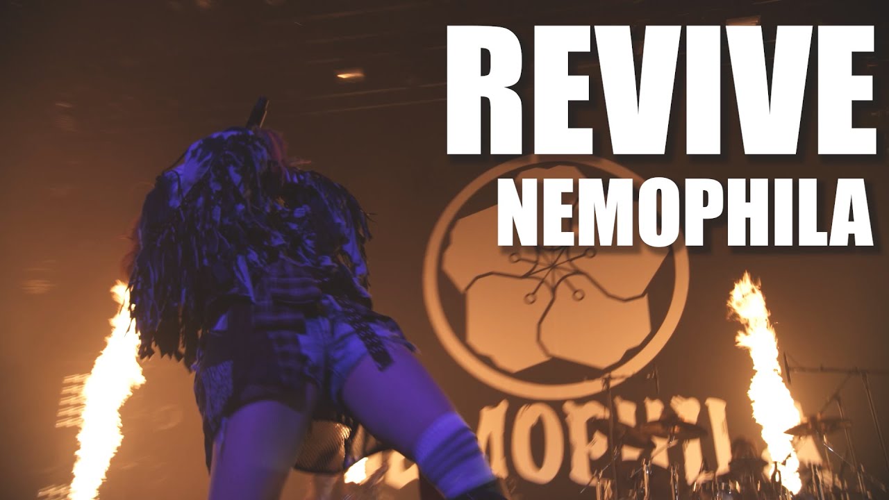 NEMOPHILA / REVIVE [Official Live Video] - YouTube