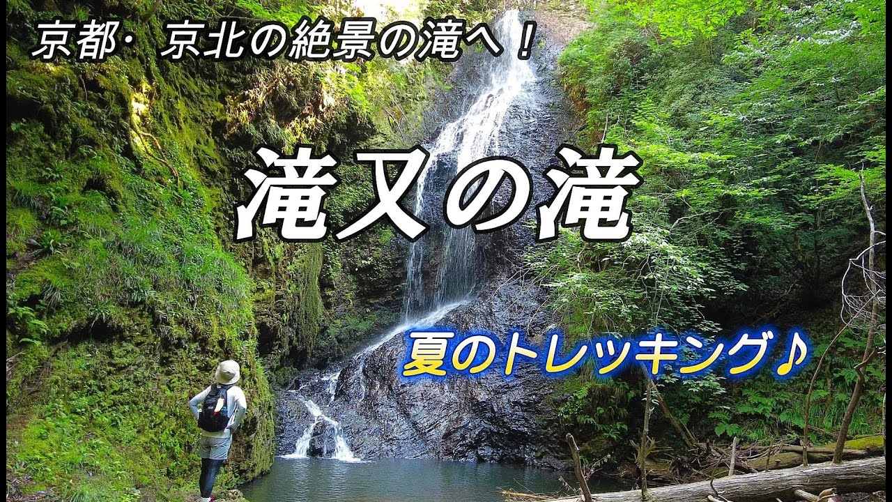 滝又の滝】 京都・京北の絶景の滝へ！涼しい川沿いを歩く夏の