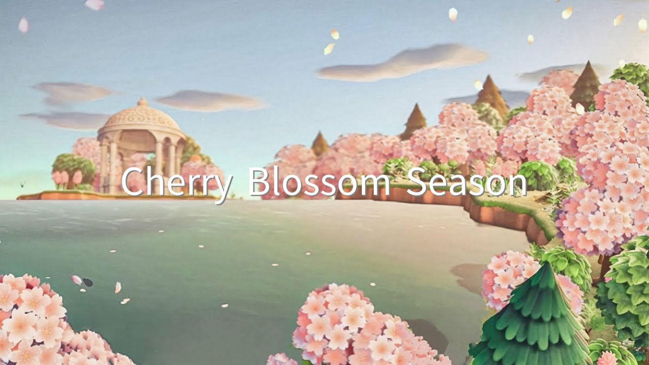 単発】桜並木の遊歩道 | National Cherry Blossom Festival | Speed