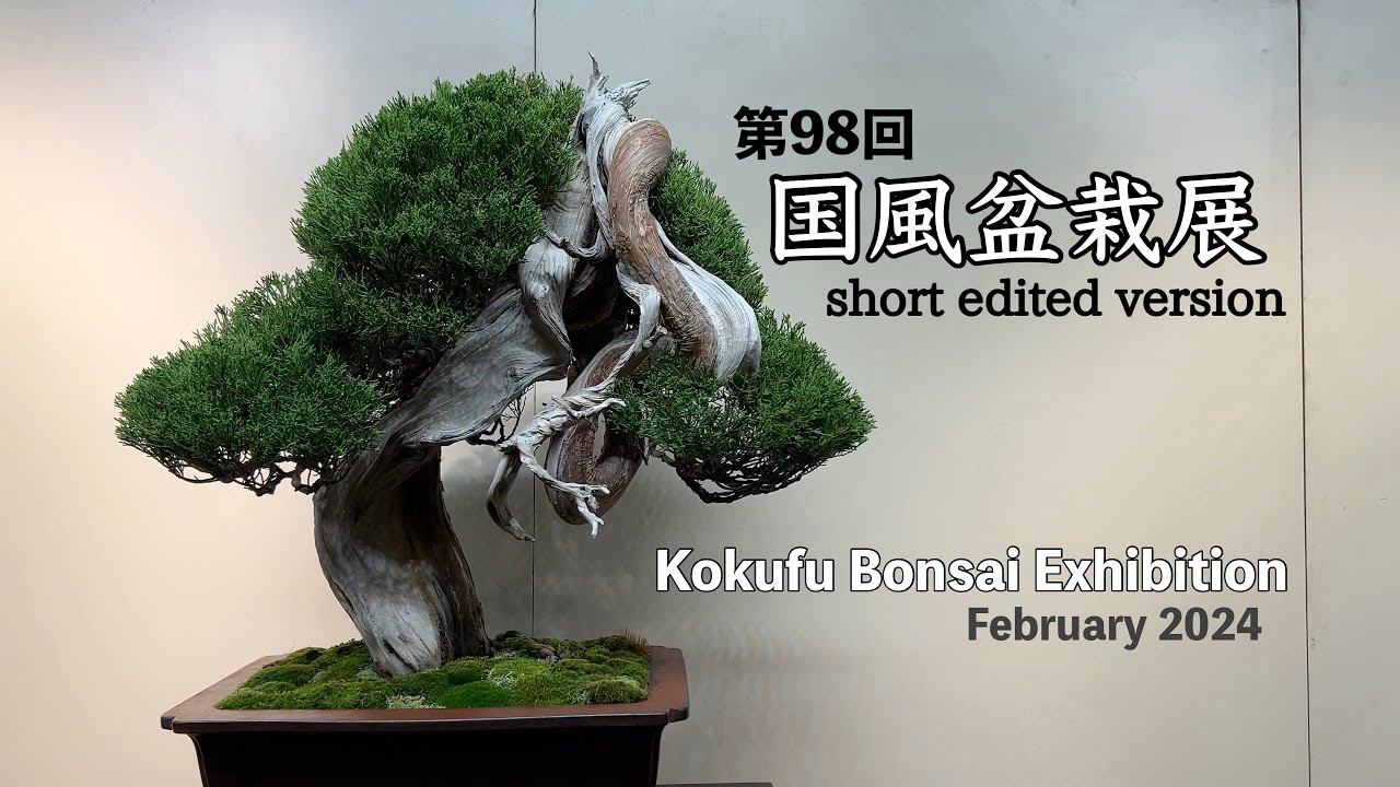 国風盆栽展 [short edited version]／Kokufu Bonsai Exhibition - YouTube