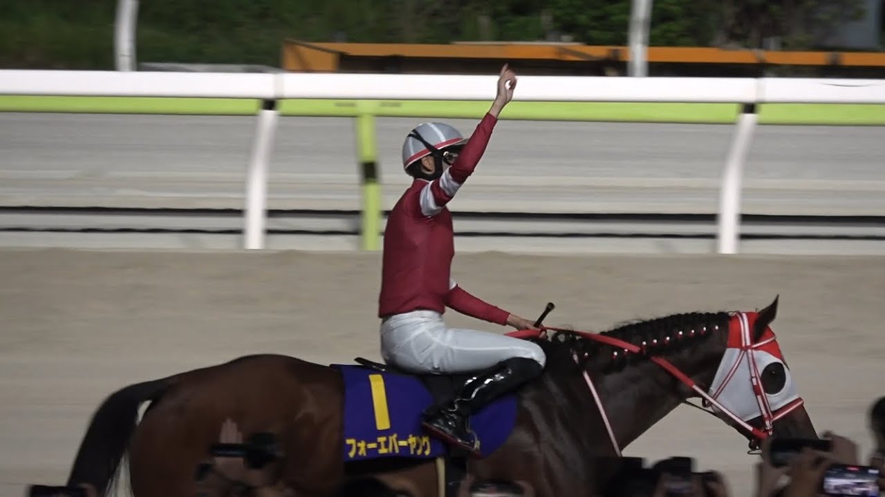 現地】2024 jpn1 ジャパンダートクラシック フォーエバーヤング 坂井瑠