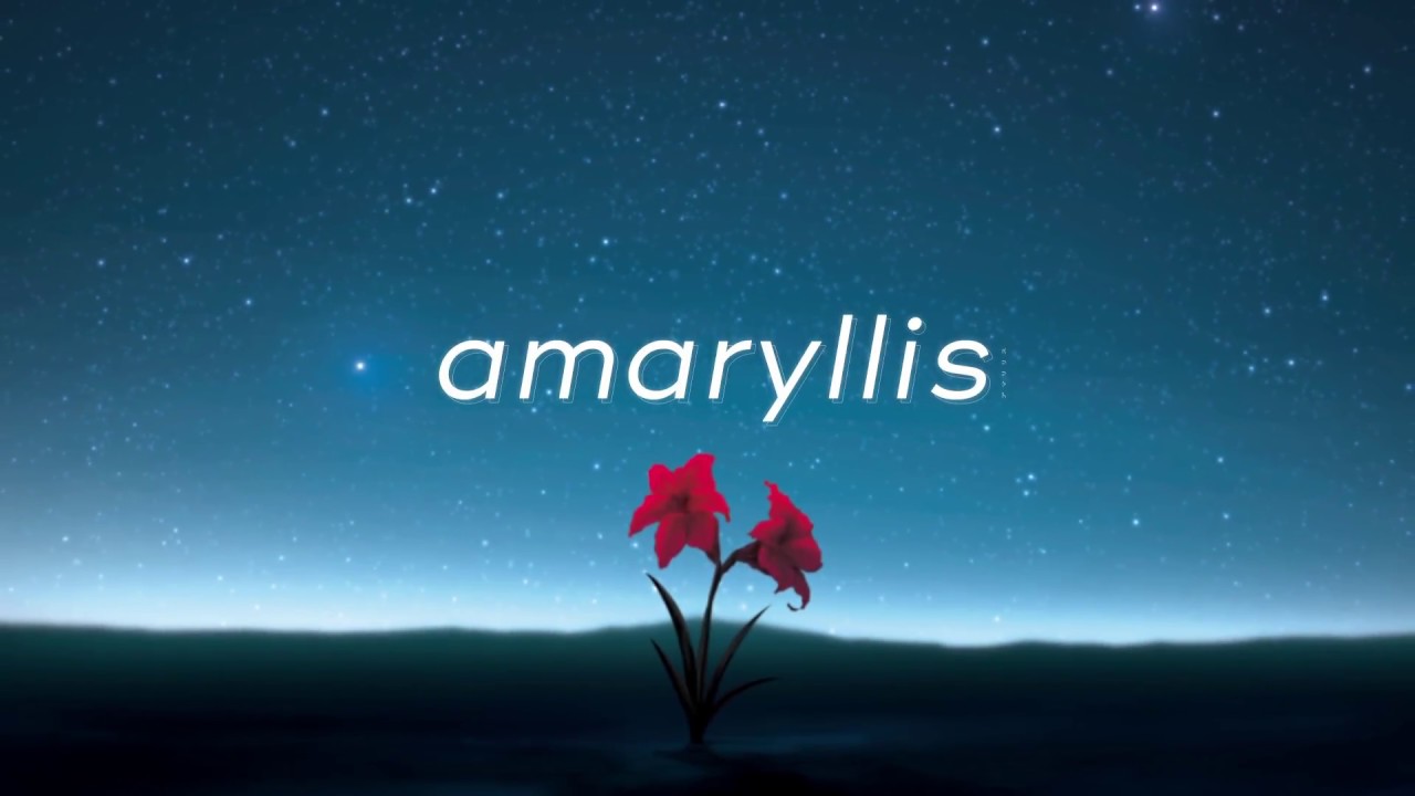 Album XFD】amaryllis / *Luna & Liz. & Guiano & tama - YouTube