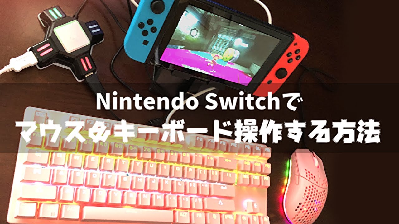 Nintendo Switch] How to use mouse and keyboard controls [Converter