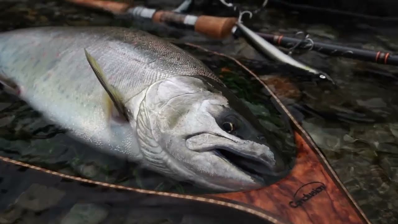 12/16在庫販売】Monochrome 110MDF / モノクローム 110MDF（長良鮎