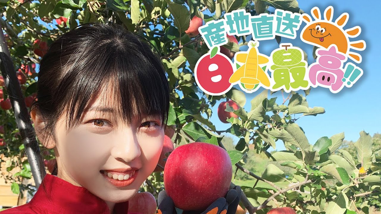 番外編】ジョナゴールドを収穫しました!!『RINGOMUSUMEの産地直送 日本