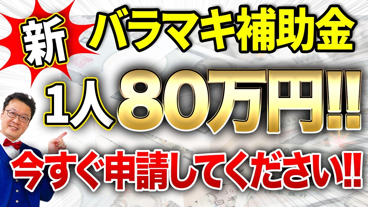 速報】一人80万円貰える「最強の補助金」が遂に出ました！！個人事業