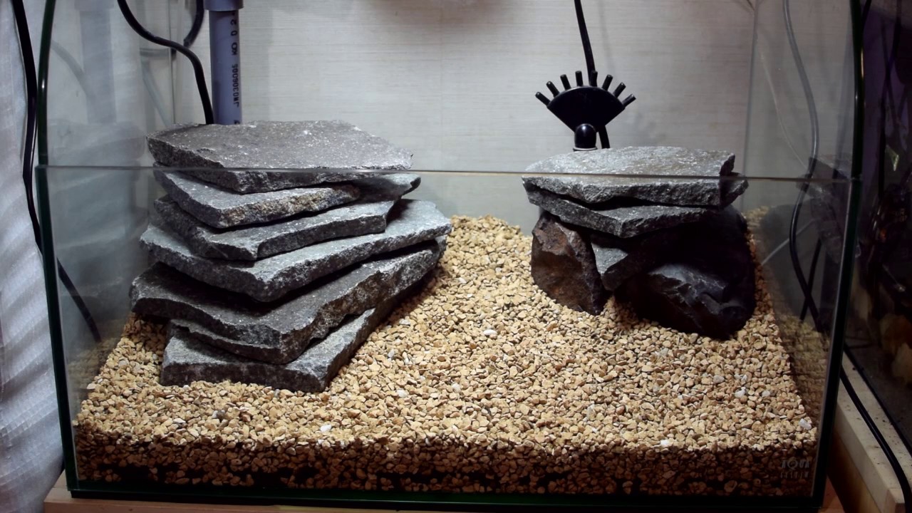 滝のアクアテラリウム立ち上げpart1 - YouTube