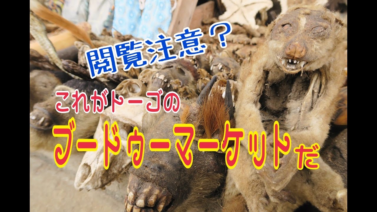 トーゴに行ったらここに行け！～これがブードゥーマーケットだ
