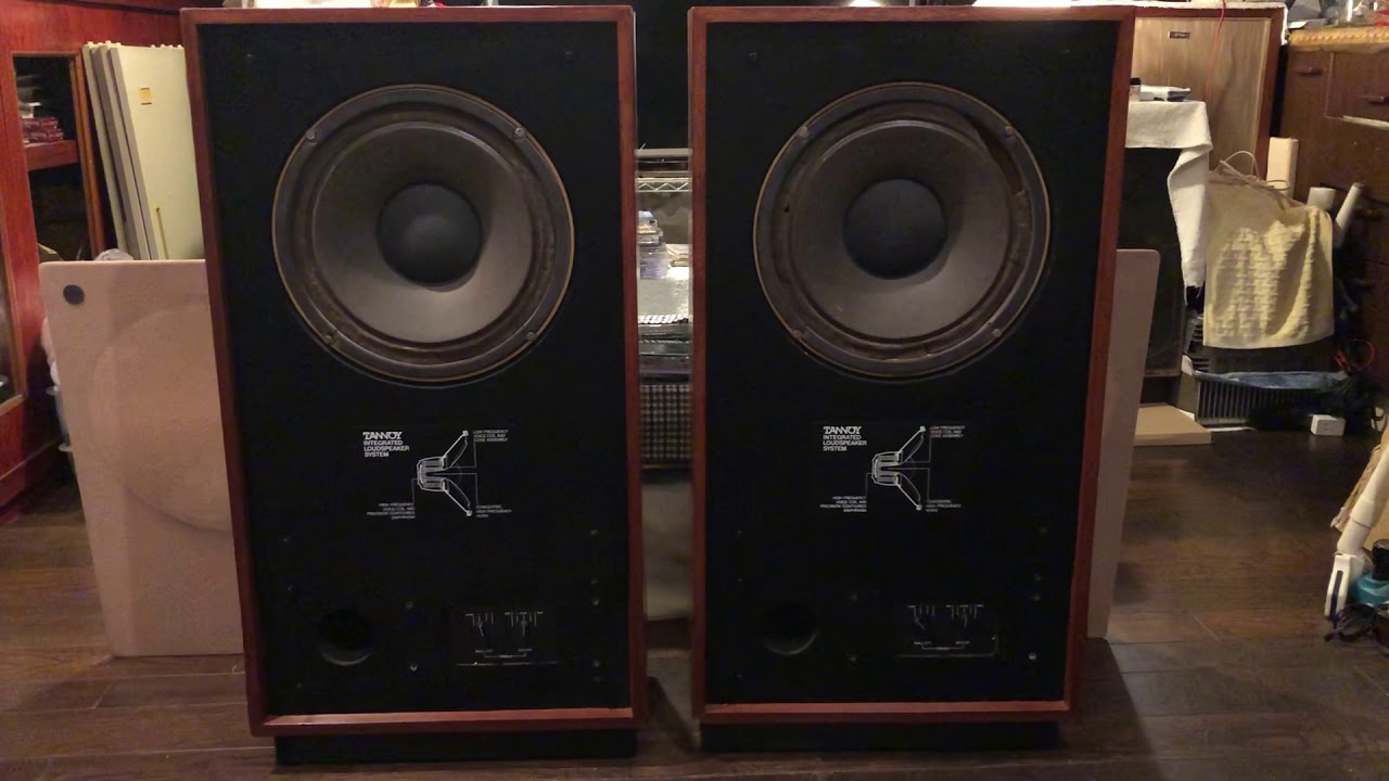 Tannoy Cheviot チェビオット HPD315 試聴動画 現状チェック動画