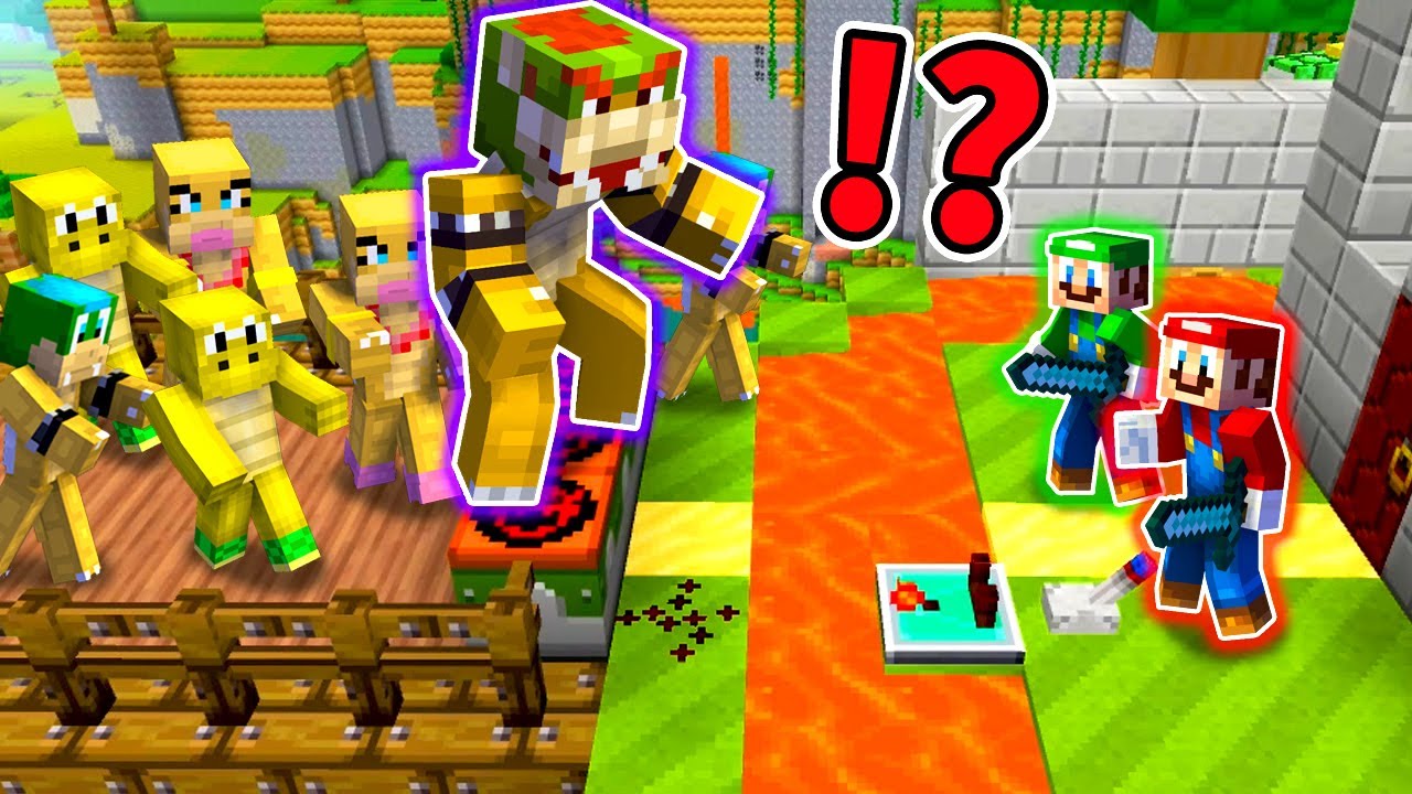 Game Play] Bowser's Troop vs Mario and Luigi's Security House