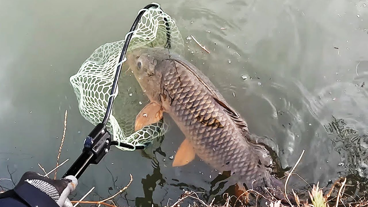 Hunting the Lord of the Sewer - YouTube