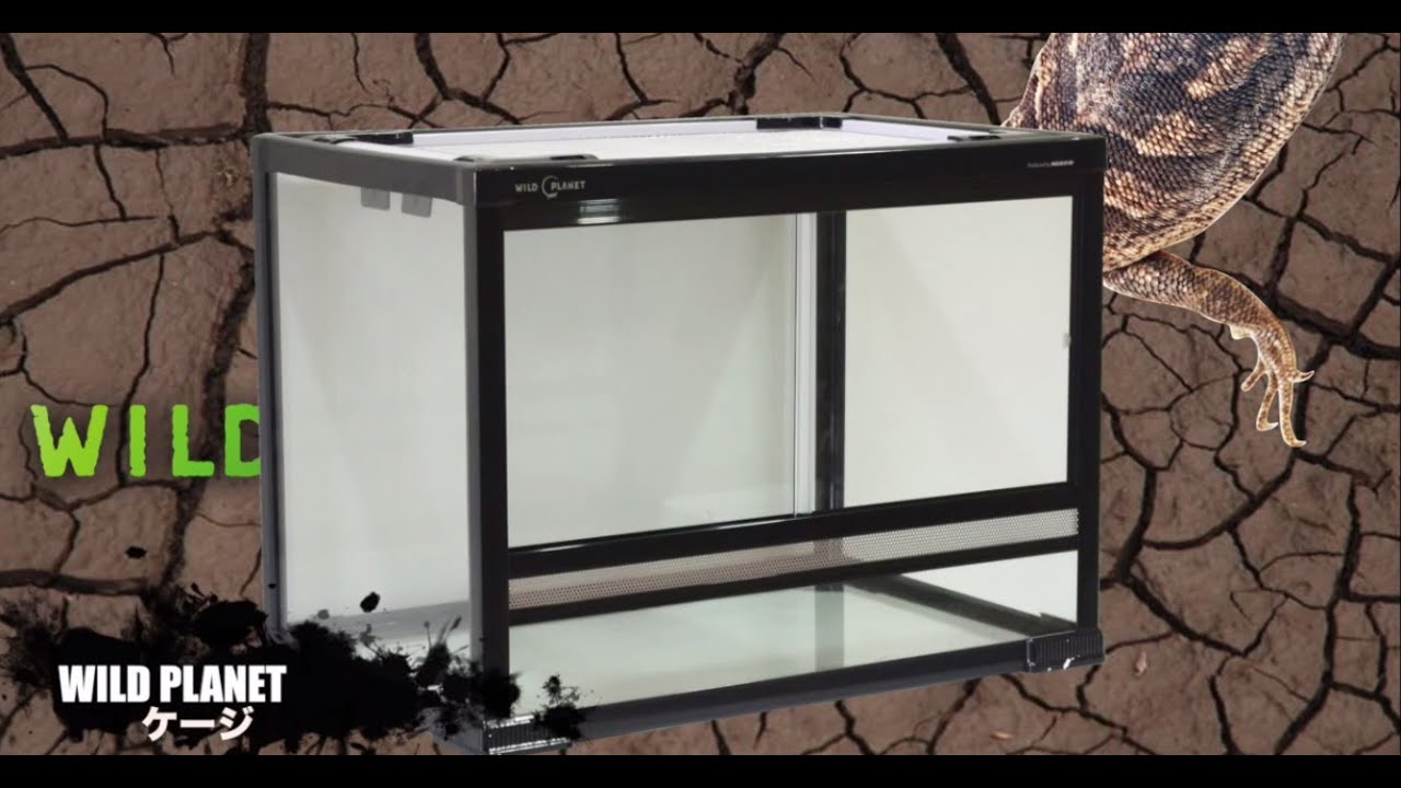 公式】ワイルドプラネット ケージ - YouTube