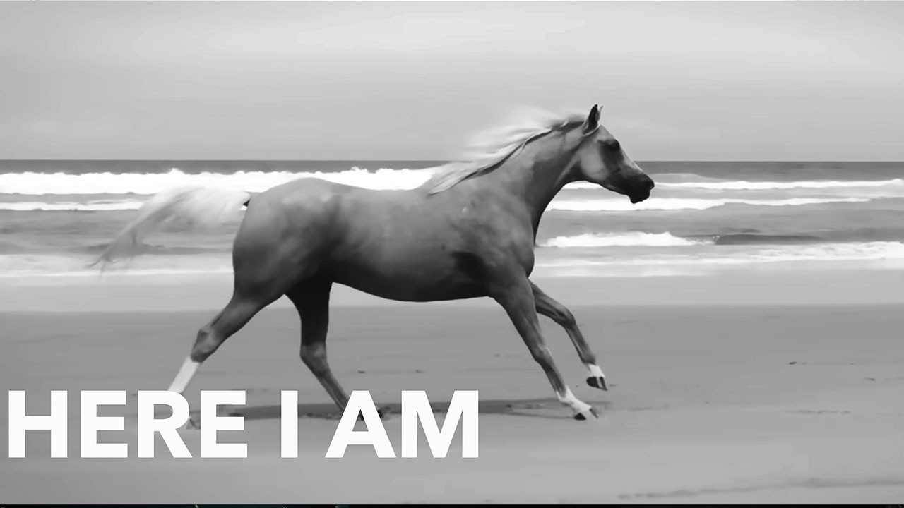 Bryan Adams - Here I Am (live in Melbourne, Australia) - YouTube