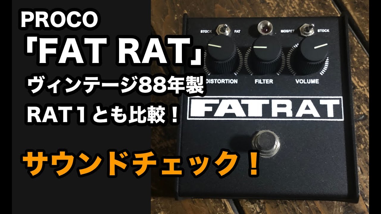 White Faceサウンド欲しいならUSA製Proco RAT2 に308N White Face