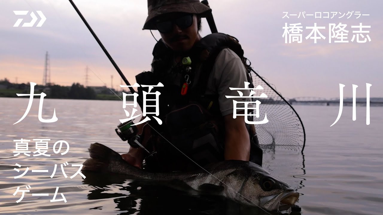 ダイワ シーバスロッド ラブラックス AGS 100ML・N(スピニング 2ピース