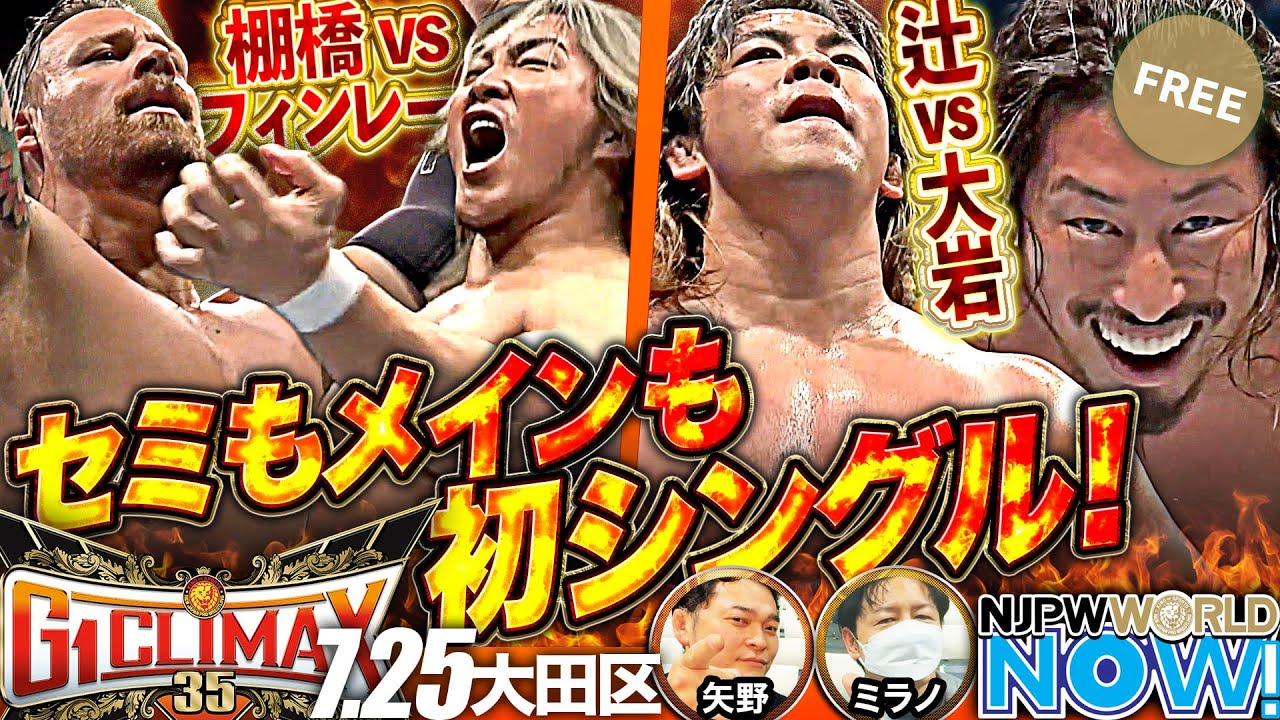 棚橋、デストロイヤー ソフビ 2種 プロレス まん太ろっく 棚橋