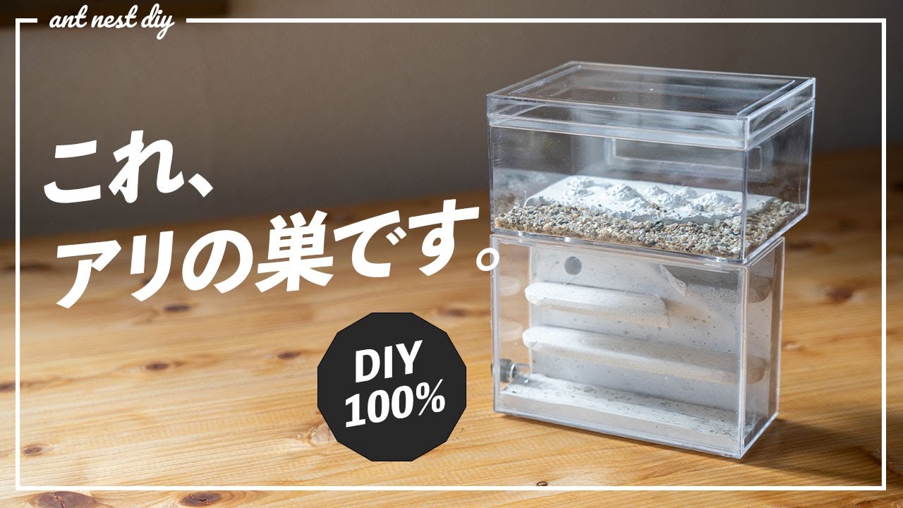 アリ飼育キット自作】階層のあるアリの巣の作り方【石膏巣】 - YouTube