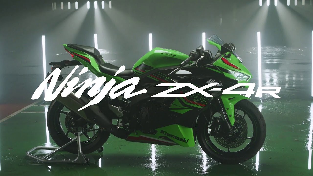 絵違い 超能力蛙 英4枚 絵違い 超能力蛙 日4枚 超能力蛙 / Psychic