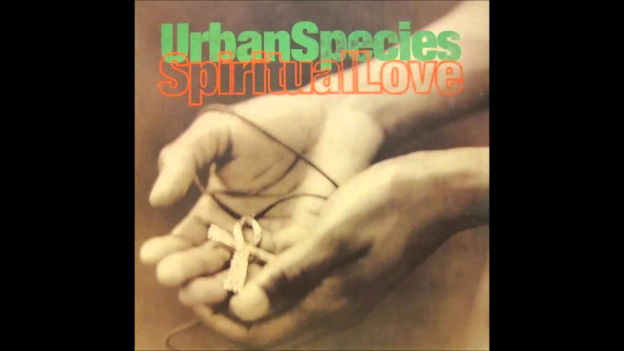 maxresdefault.jpg?sqp=-