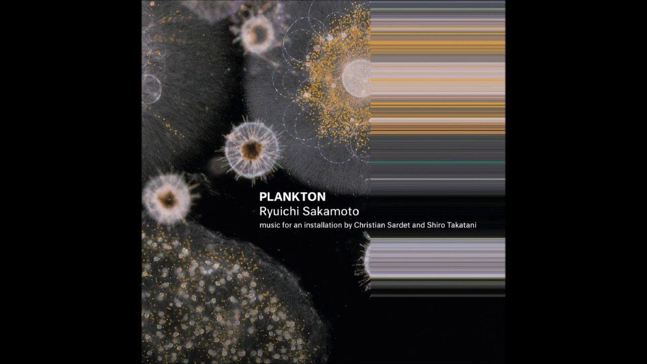RYUICHI SAKAMOTO(LP) PLANKTON【限定500枚ロットナンバー入り