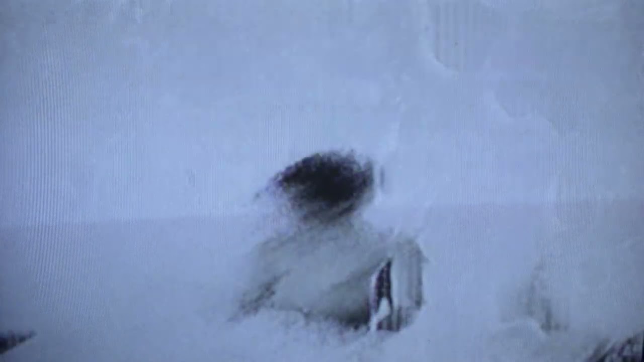 荒谷翔大 (yonawo) | Line up | 日比谷音楽祭 2022 | HIBIYA MUSIC