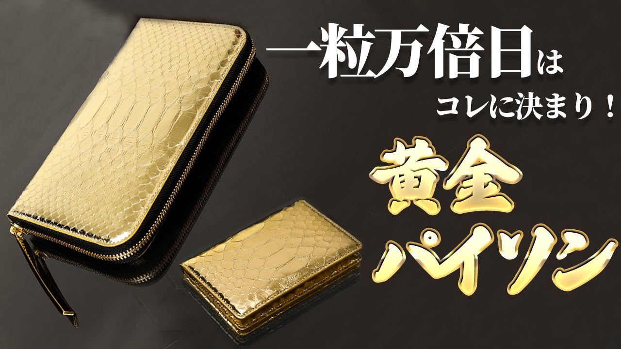 Wallet/Business Card Holder] The most auspicious gold python