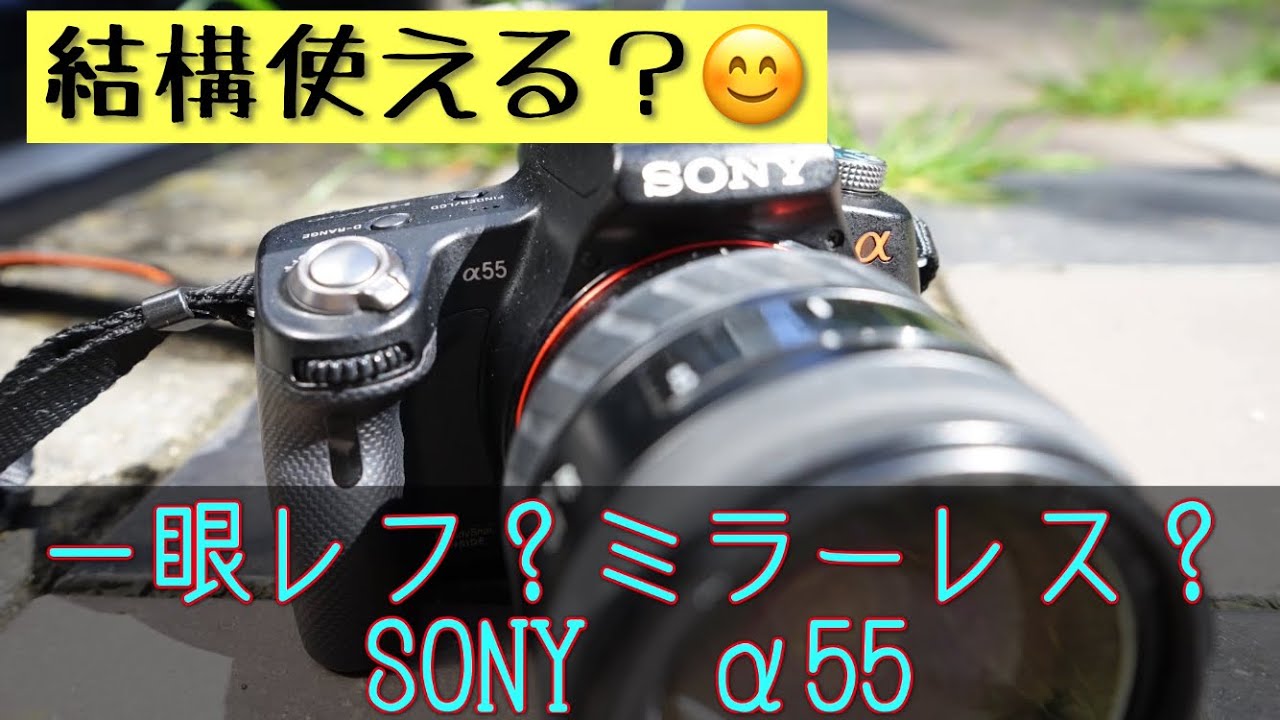 ミラーレスのような一眼レフ？（笑）SONY α55はなかなか使えるカメラ