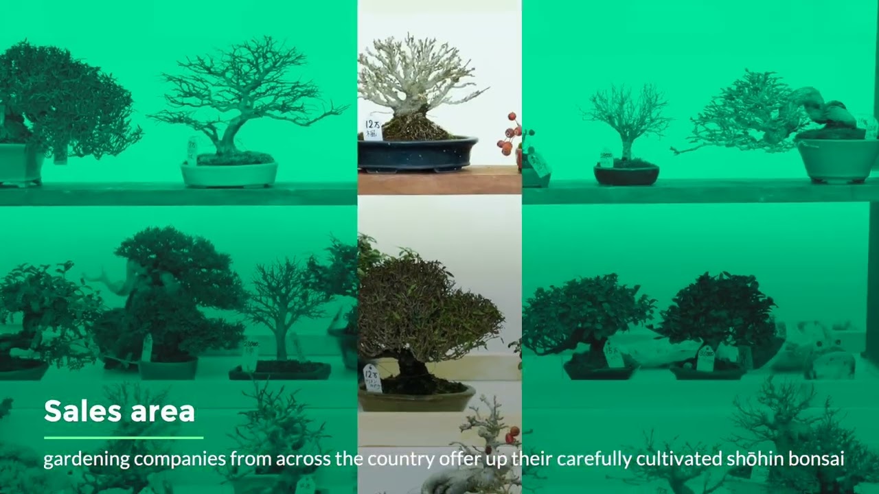 雅風展紹介 - YouTube