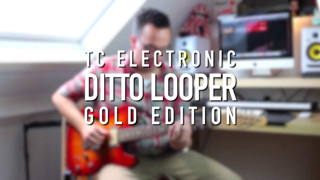 TC Electronic Ditto Looper | Gold Edition - YouTube