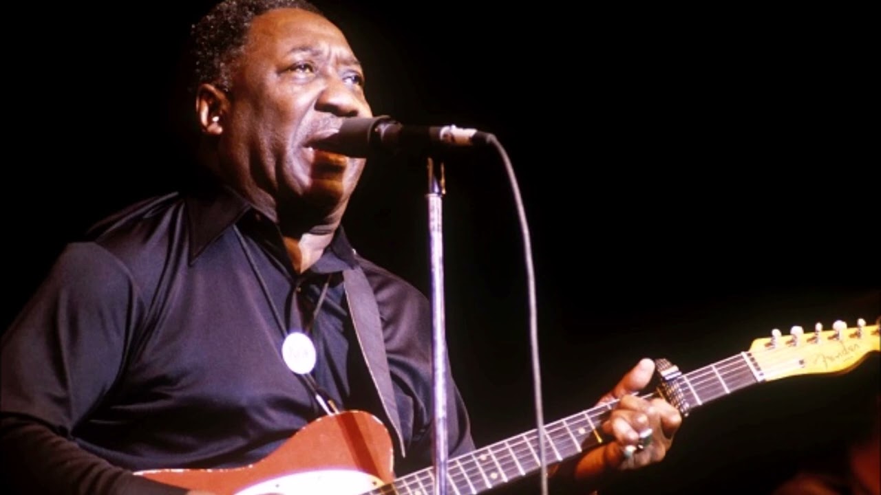 Muddy Waters Live at Newport Jazz Festival, Radio Music City Hall