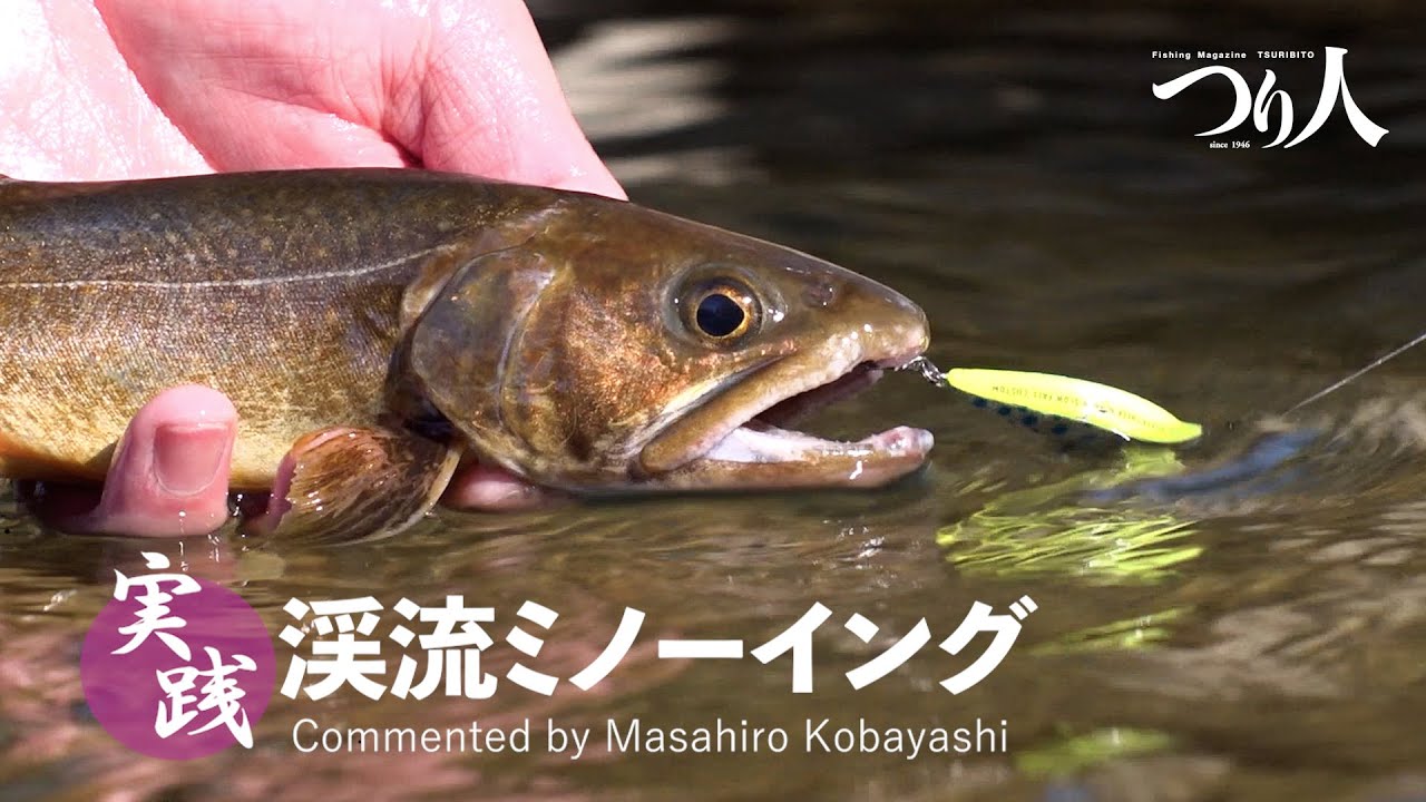 全バスアングラーに捧ぐ。 ベイトフィネスタックルで渓流ルアーに