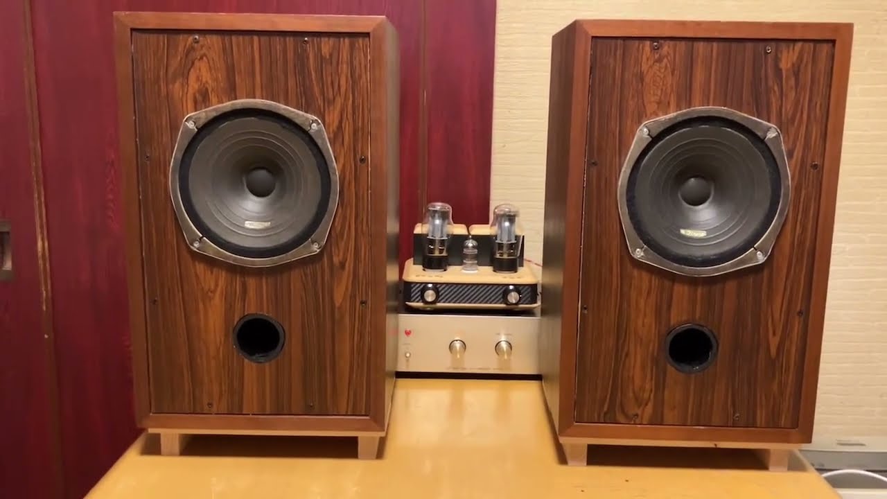 スピーカー・ウーファー Diatone P-610A in Sansui SP-10 スピーカー