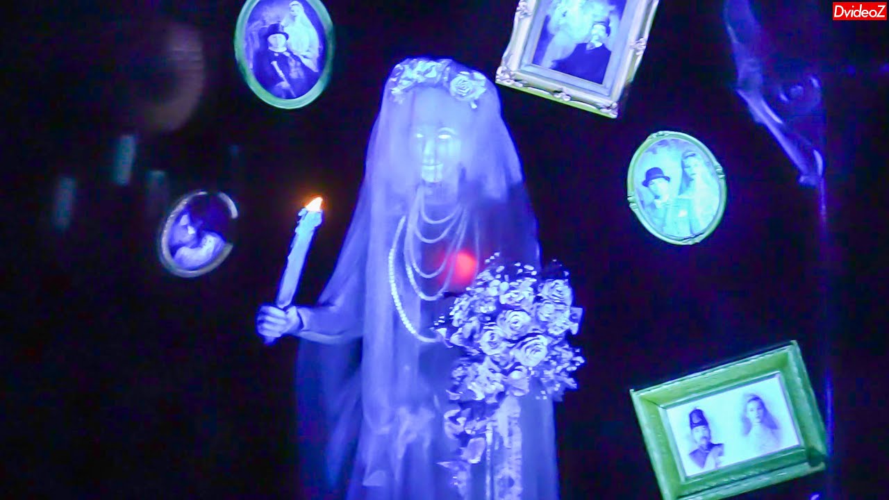 TDL] ホーンテッドマンション2023 高感度ライドスルーバージョン