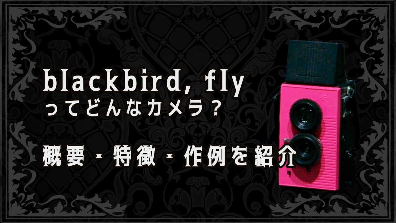仮面ライダーディケイド】「blackbird, fly」ってどんなカメラ？ 概要