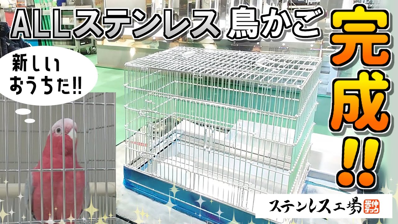 オールステンレスの鳥かご完成！！オウムくんも大喜び！？ - YouTube