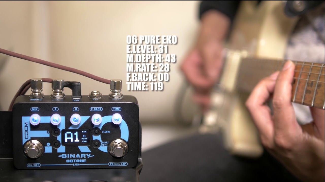 HOTONE | BINARY EKO | ディレイ・エフェクター | 製品情報