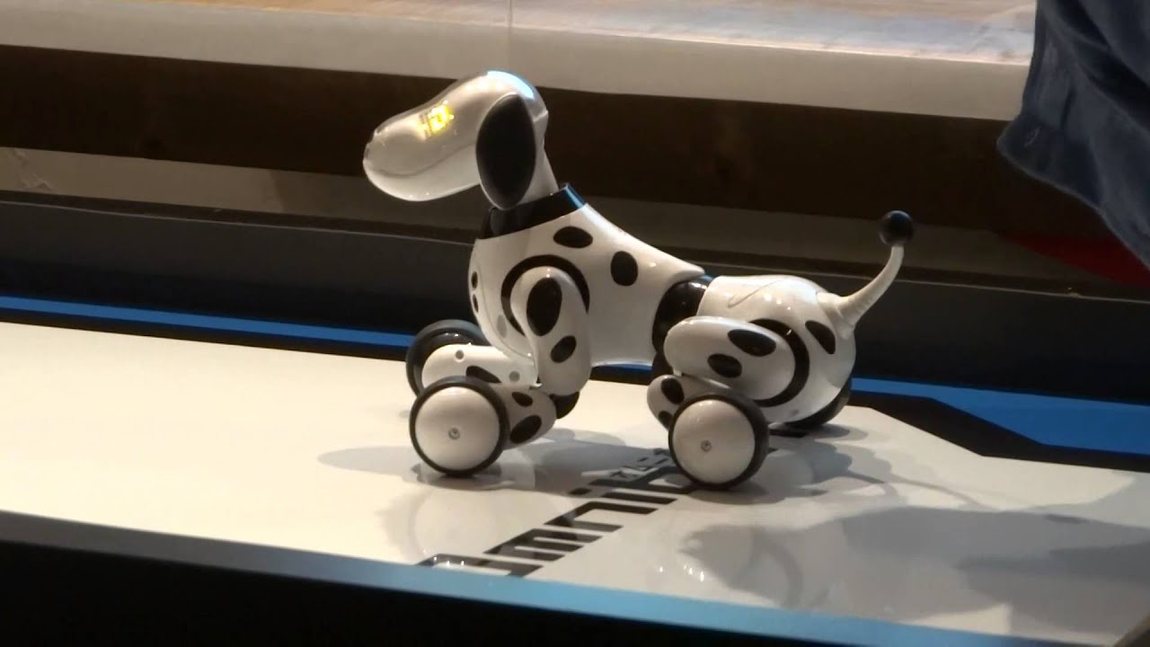 maxresdefault.jpg?sqp=-