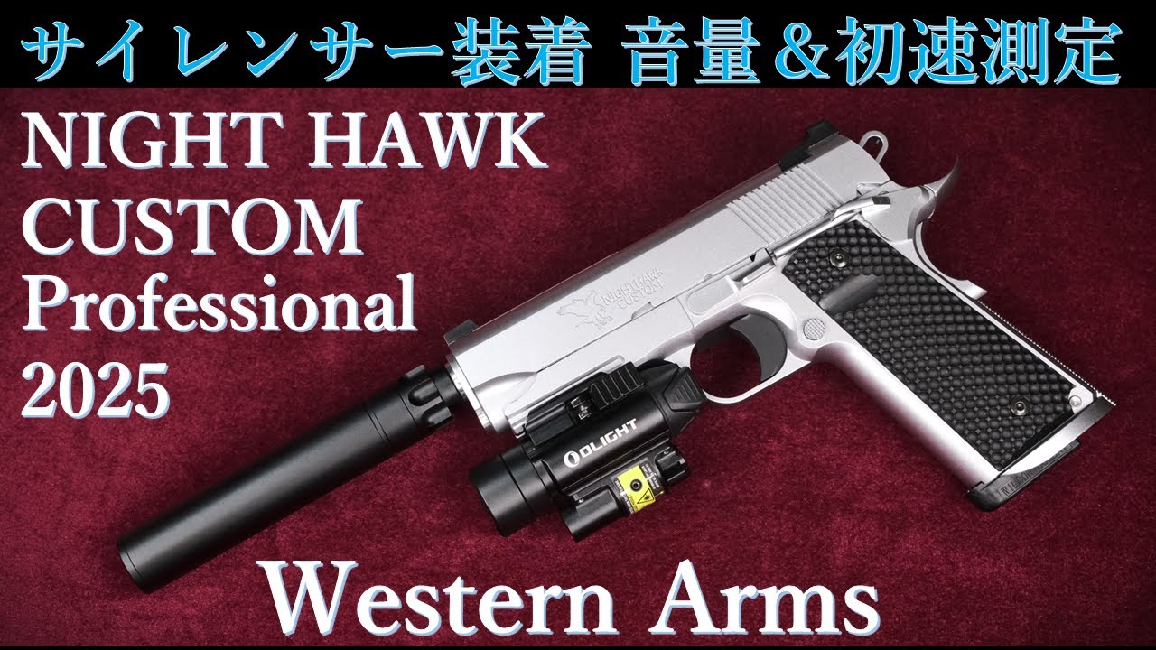 サイレンサー効果検証・ナイトホークカスタム プロフェッショナル 2025
