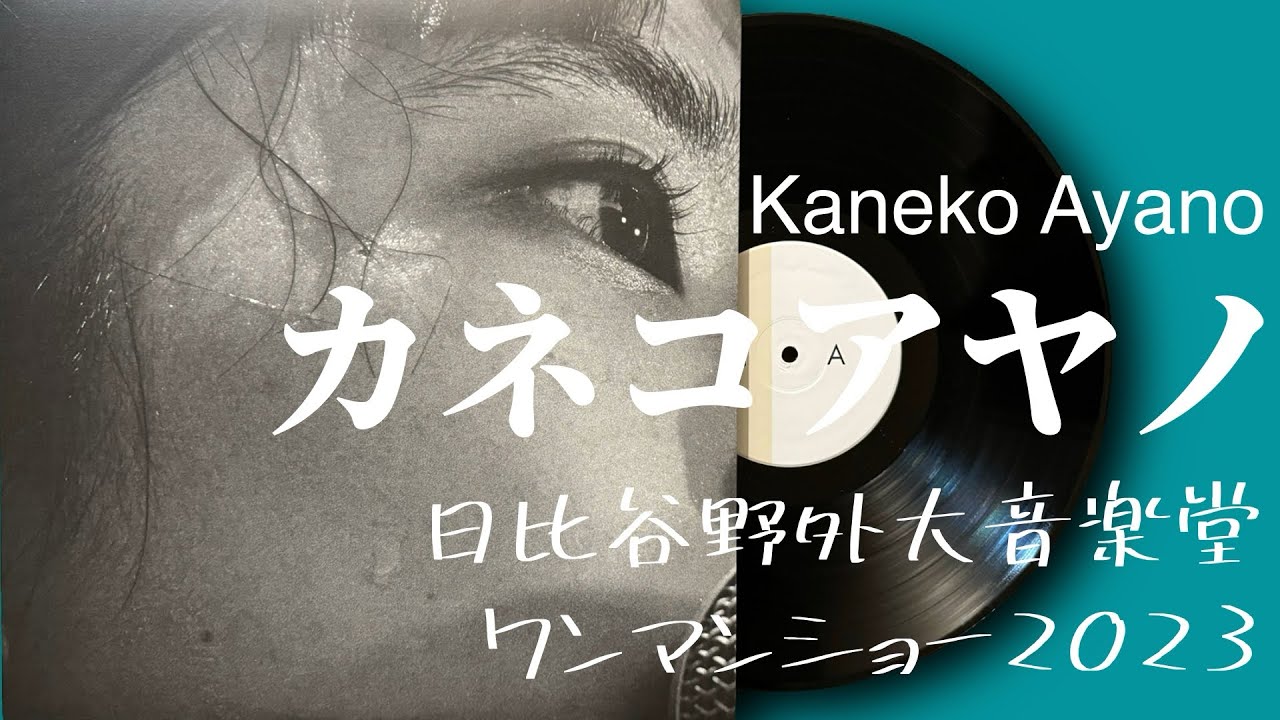 使用品⭐️バトルフィーバJ 勇者が行く ドラマ ソノラマ 特撮ソング