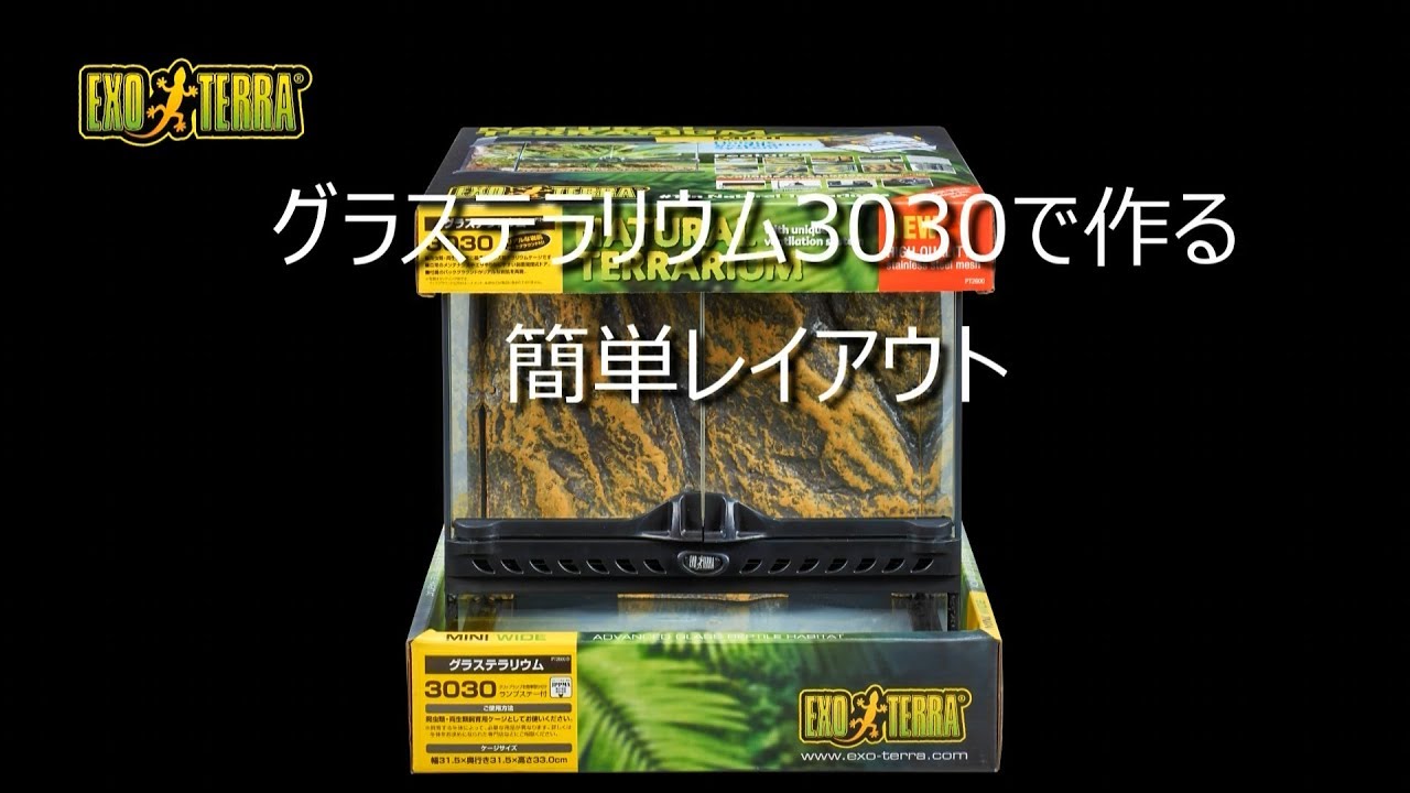 グラステラリウム3030のレイアウト動画 - YouTube