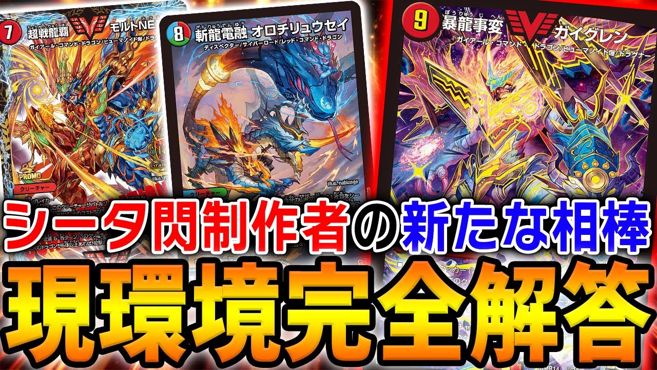 かつての環境トップ≪モルトNEXT≫の現在の姿がコチラ…。新提案