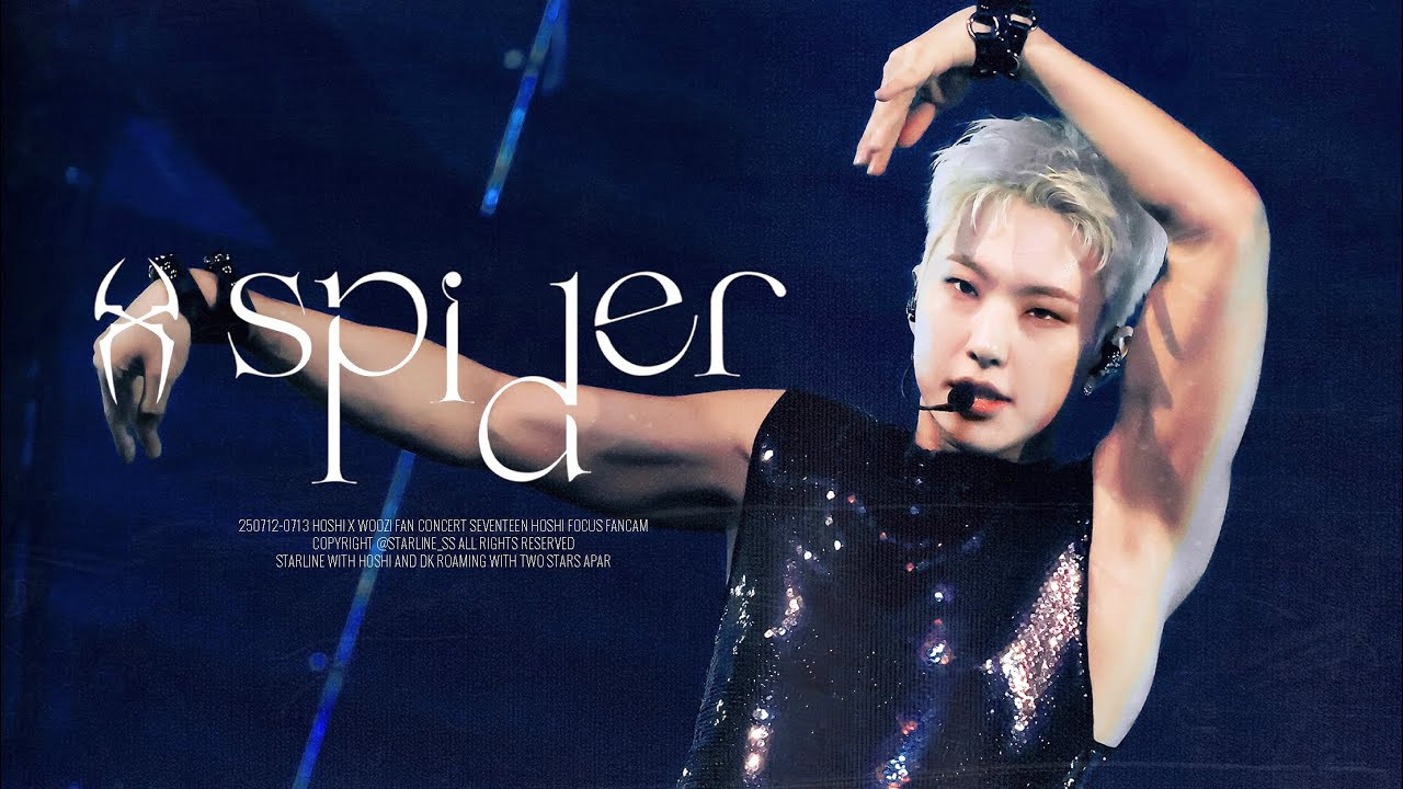 4K] 250712-0713 HxW WARNING CONCERT - SPIDER - 호시 HOSHI Focus