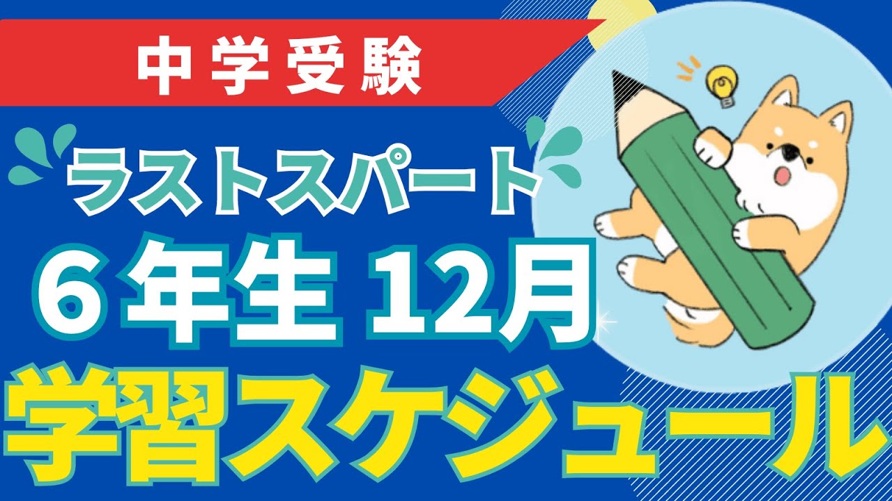 中学受験】2021年学習の記録(日能研•小5) 上半期編 | ポチたま中学受験