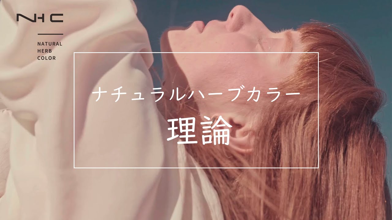 ナチュラルハーブカラー アッシュベージュ 300g【医薬部外品】の卸