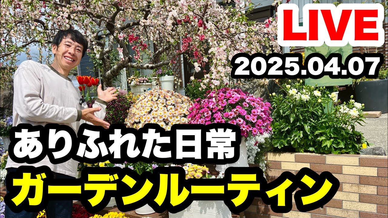 ◇Garden routine [ordinary everyday life edition] - YouTube