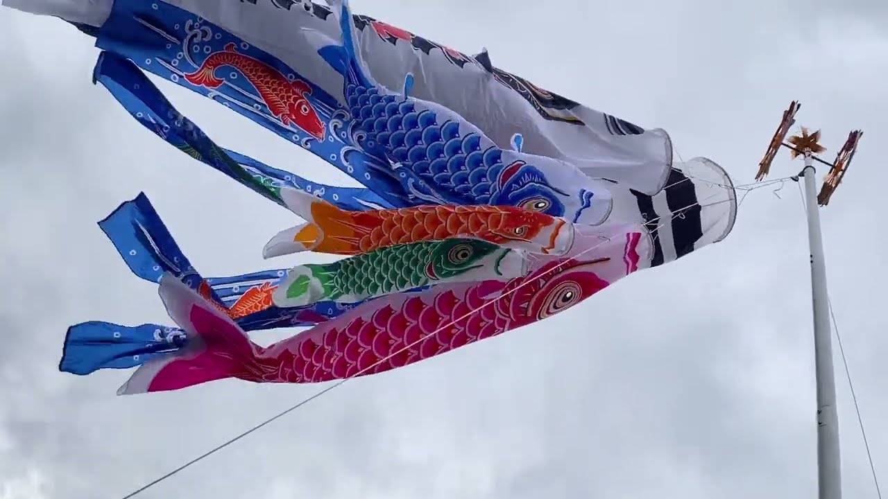 滝のぼり】旭天竜 ツイル滝のぼり吹流し シルキー金太郎鯉のぼり 4m8