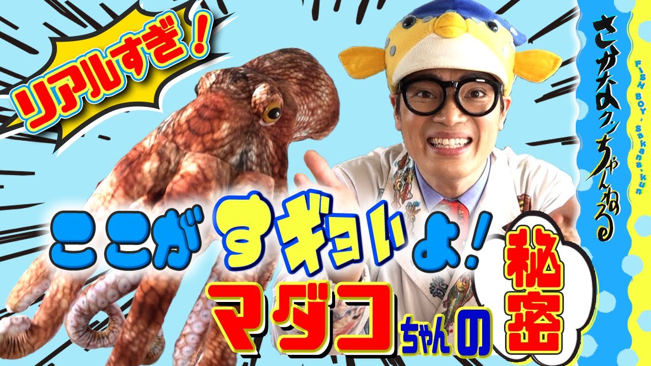 Missy Octopus vulgaris edition] Too real! Stuffed animal series