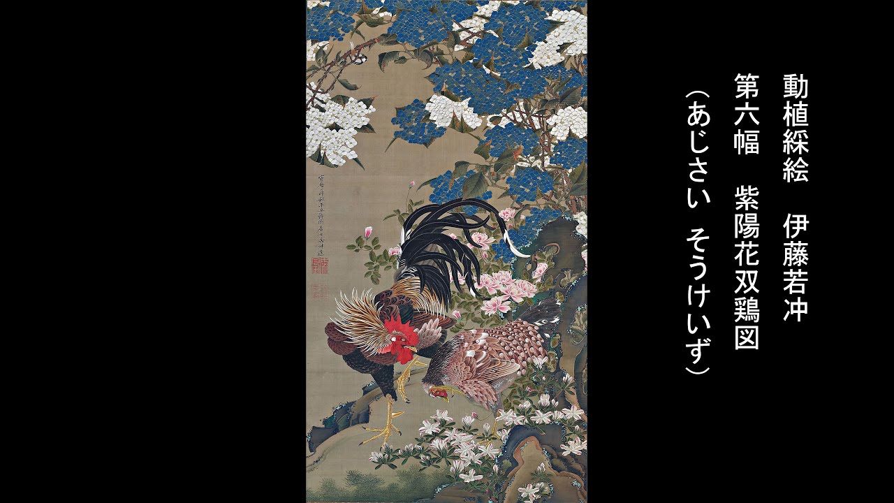動植綵絵 伊藤若冲 「第六幅 紫陽花双鶏図 （あじさい そうけいず